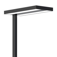 Office floor lamps