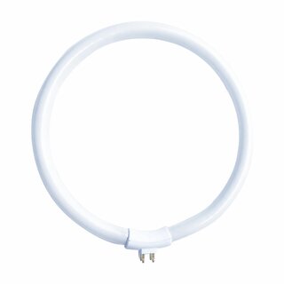 Leuchtstofflampe Ring Rundrhre T4 22W/865 Tageslicht 6500K G10q auen