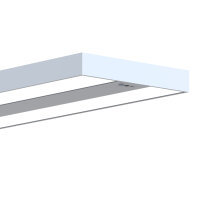 LED Floor Lamp Lara Up & Down 80W silver RAL9006...