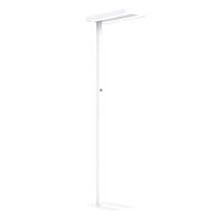 LED Floor Lamp Lara Up & Down 80W white RAL9006...