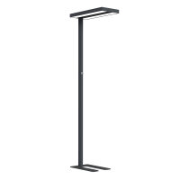 LED Floor Lamp Lara Up & Down 80W black RAL9006...
