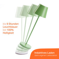 LED Table Lamp 2.2W 190lm CRI95 Warm White Indoor & Outdoor Dimmable Inductive Charging Green