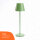 LED Table Lamp 2.2W 190lm CRI95 Warm White Indoor & Outdoor Dimmable Inductive Charging Green