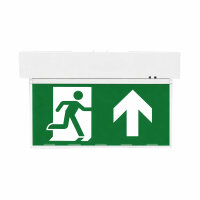 LED Emergency Light Wall & Ceiling Mount 5.5W Continuous Light with 4 Pictograms & Replaceable Battery
